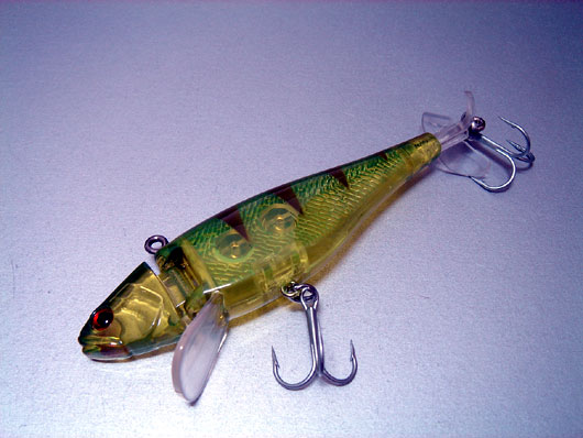Trigger-Fish-003.jpg